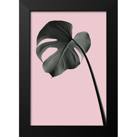 Monstera Pink No 02 Black Modern Wood Framed Art Print by Artographie Studio