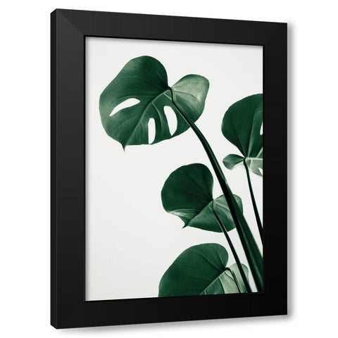 Monstera Natural 38 Black Modern Wood Framed Art Print with Double Matting by Artographie Studio