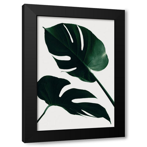 Monstera Natural 45 Black Modern Wood Framed Art Print with Double Matting by Artographie Studio