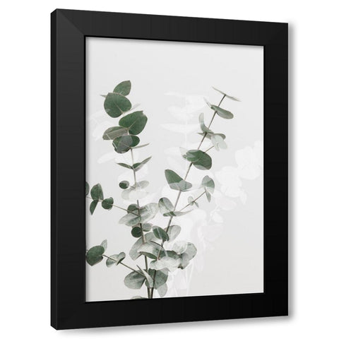 Eucalyptus Creative 02 Black Modern Wood Framed Art Print with Double Matting by Artographie Studio