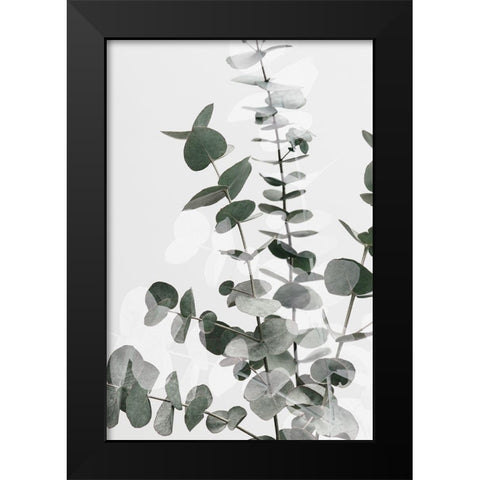 Eucalyptus Creative 06 Black Modern Wood Framed Art Print by Artographie Studio