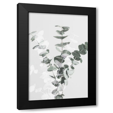 Eucalyptus Creative 07 Black Modern Wood Framed Art Print with Double Matting by Artographie Studio