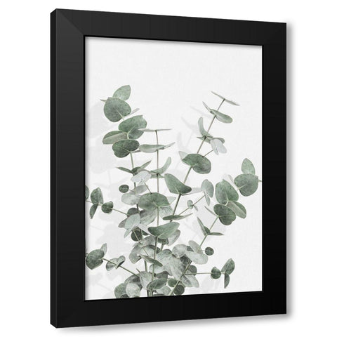 Eucalyptus Creative 16 Black Modern Wood Framed Art Print with Double Matting by Artographie Studio