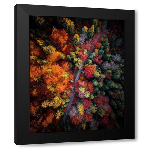 Fall stories Black Modern Wood Framed Art Print by Razvan