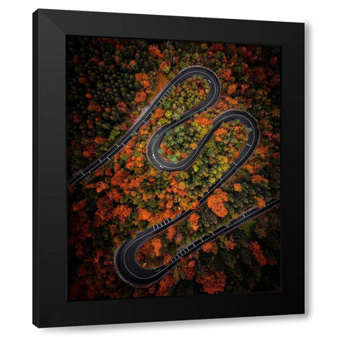 Curves Black Modern Wood Framed Art Print by Razvan