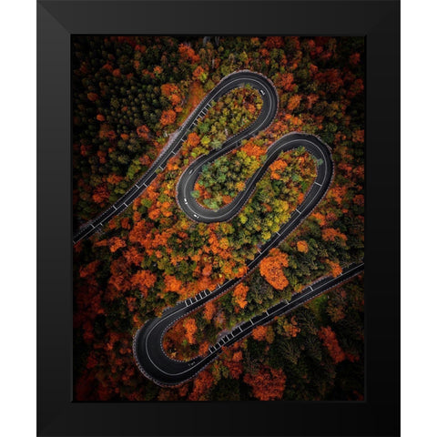 Curves Black Modern Wood Framed Art Print by Razvan
