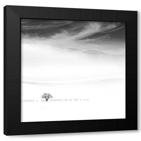 Poems of Silence Black Modern Wood Framed Art Print by Nodeh, Mostafa