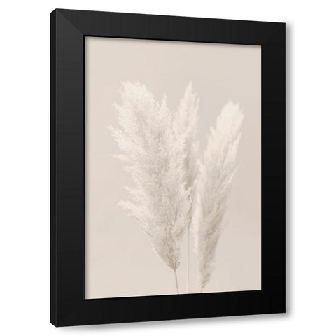 White Grasses Black Modern Wood Framed Art Print with Double Matting by Artographie Studio