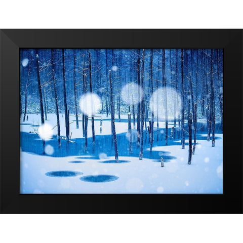 Fairyland Black Modern Wood Framed Art Print by Sono, Hidenori