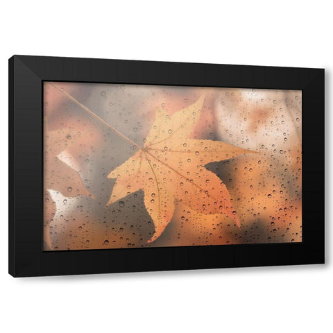 Melancholy Black Modern Wood Framed Art Print by Lenka