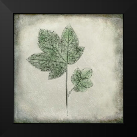 Before the Decay Black Modern Wood Framed Art Print by Kiral, Cicek