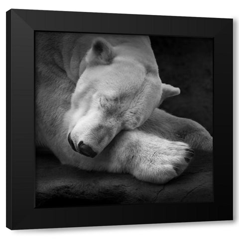 On my Pillow Black Modern Wood Framed Art Print by Krinke, Andreas