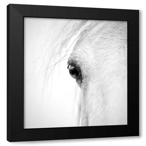 Horse Eye Black Modern Wood Framed Art Print by Zhao, Alex