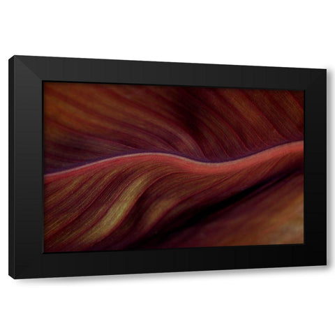 The Red Desert Dunes Black Modern Wood Framed Art Print by Wechsler, Robin