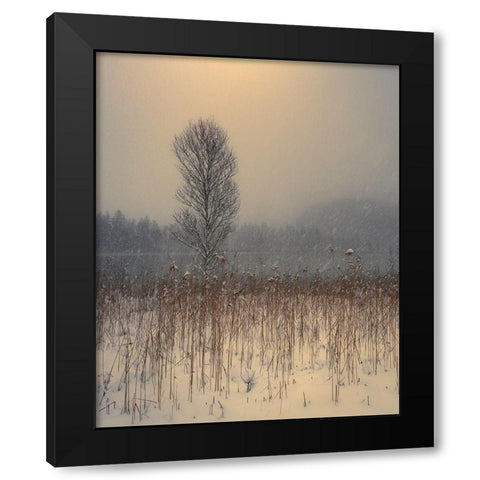 Lonely Tree Black Modern Wood Framed Art Print with Double Matting by Gialopoulos, Anastasios