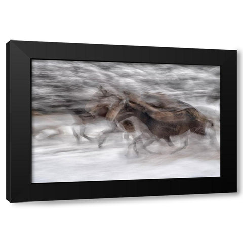 Black Dominance Black Modern Wood Framed Art Print with Double Matting by Malovrh, Milan