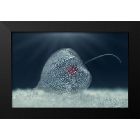 Heart of Nature Black Modern Wood Framed Art Print by Georgieva V, Nikki