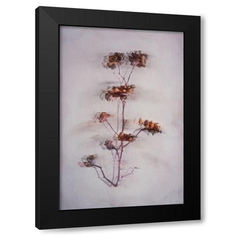 The Decay Black Modern Wood Framed Art Print by Kiral, Cicek