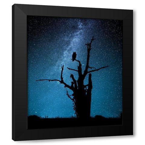 Alone in the dark Black Modern Wood Framed Art Print with Double Matting by Allicot, Manu