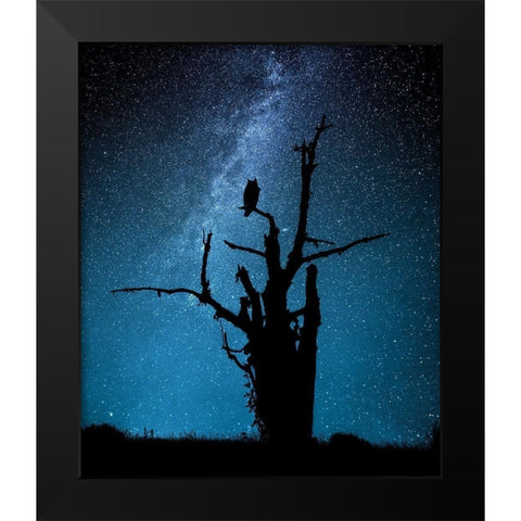 Alone in the dark Black Modern Wood Framed Art Print by Allicot, Manu