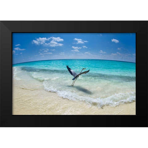 Take-off Black Modern Wood Framed Art Print by Marchegiani, Roberto