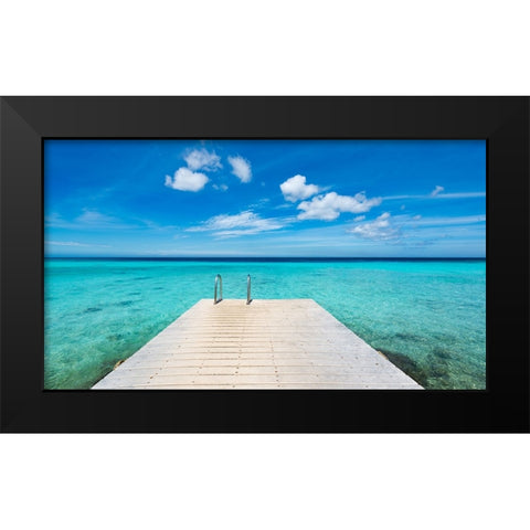 Caribbean Dream Black Modern Wood Framed Art Print by Leske, Mike