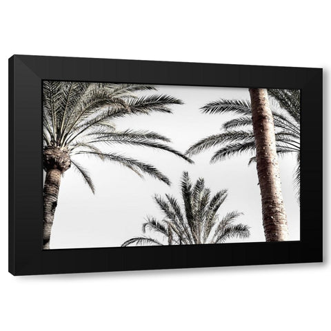 Palm 007 Black Modern Wood Framed Art Print by Artographie Studio