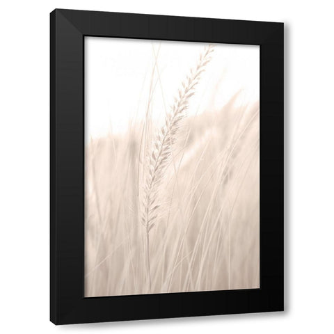 Grass 001 Black Modern Wood Framed Art Print with Double Matting by Artographie Studio