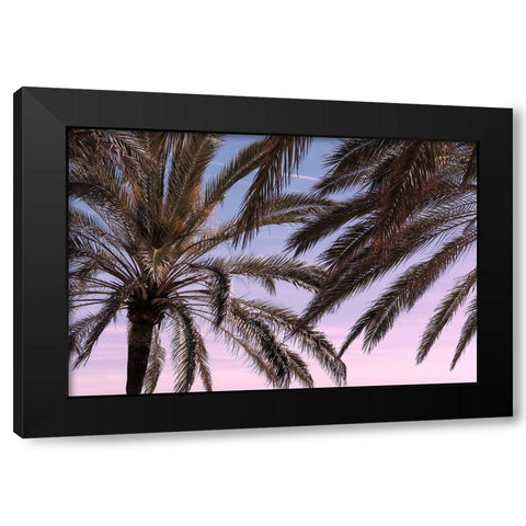 Palm 012 Black Modern Wood Framed Art Print by Artographie Studio
