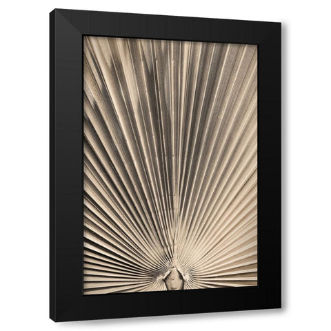 Solaris 07 Black Modern Wood Framed Art Print with Double Matting by Artographie Studio