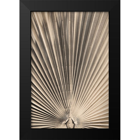 Solaris 07 Black Modern Wood Framed Art Print by Artographie Studio