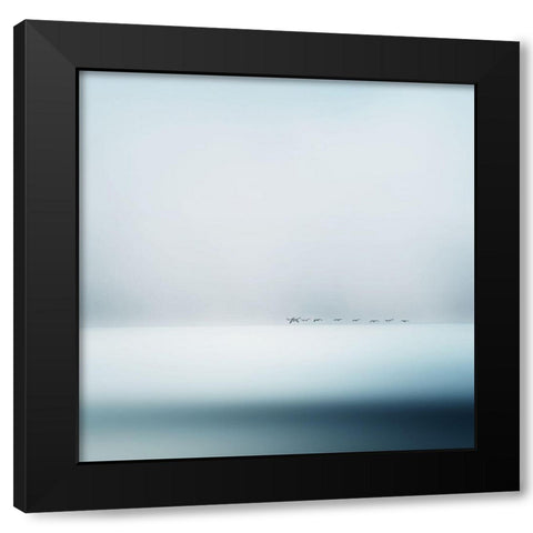 wild geese Black Modern Wood Framed Art Print with Double Matting by Flour, Piet