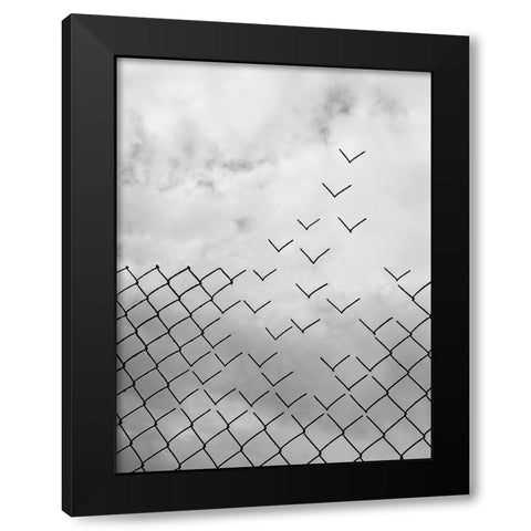 Freedom Black Modern Wood Framed Art Print with Double Matting by Alonso, Daniel