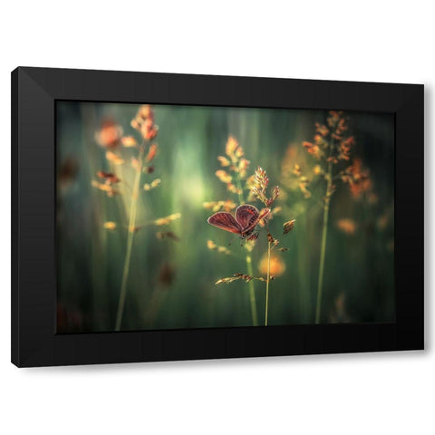 Last Light Black Modern Wood Framed Art Print by Vinogradof, Florentin