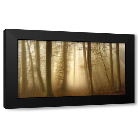 Into the Trees Black Modern Wood Framed Art Print with Double Matting by Maier, Norbert