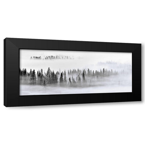 Foggy Forest Black Modern Wood Framed Art Print by Xu, Mei