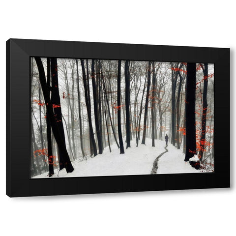 Through autumn and winter Black Modern Wood Framed Art Print by Krivec, Samanta