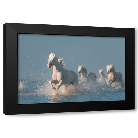 Angels of Camargue Black Modern Wood Framed Art Print with Double Matting by Anton, Rostovskiy
