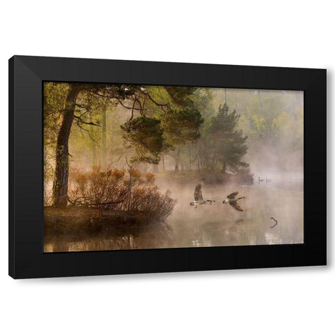 Goose fight Black Modern Wood Framed Art Print with Double Matting by Van Dongen, Anton