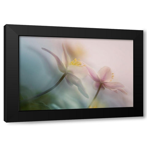 Gentle Black Modern Wood Framed Art Print with Double Matting by Van Dongen, Anton