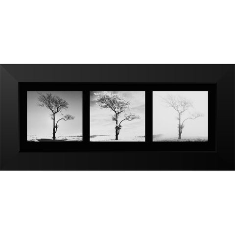 Lone Trees Black Modern Wood Framed Art Print by Butcher, Dave