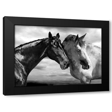 Horse Portrait Black Modern Wood Framed Art Print with Double Matting by Llovet, Jorge