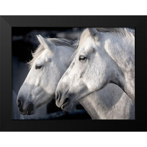 Good Friends Black Modern Wood Framed Art Print by Llovet, Jorge