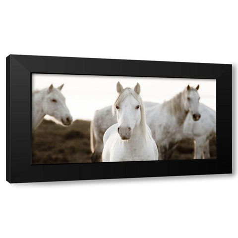 Horse Meeting Black Modern Wood Framed Art Print with Double Matting by Llovet, Jorge