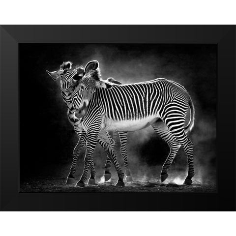 Wild Dance Black Modern Wood Framed Art Print by Cano, Marina