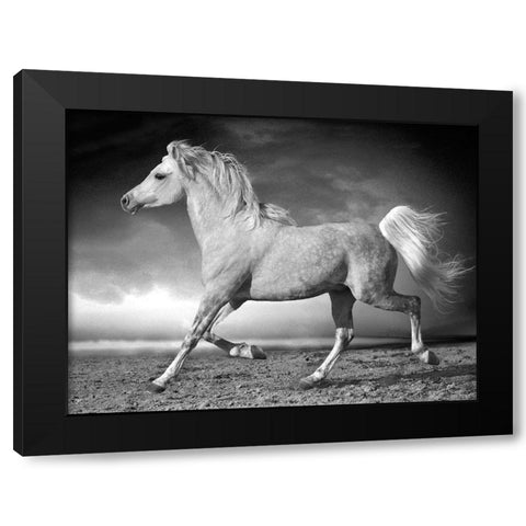 Walking along the Beach Black Modern Wood Framed Art Print by Llovet, Jorge