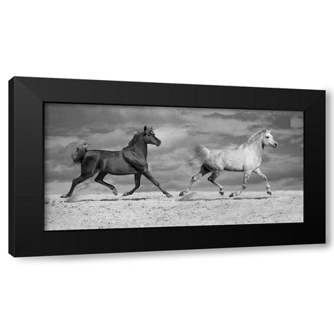 Horse Dancers Black Modern Wood Framed Art Print by Llovet, Jorge