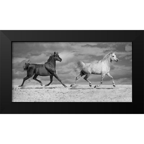 Horse Dancers Black Modern Wood Framed Art Print by Llovet, Jorge