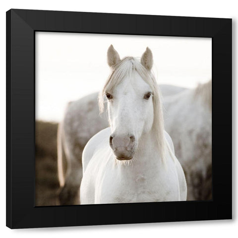 Horse Black Modern Wood Framed Art Print by Llovet, Jorge