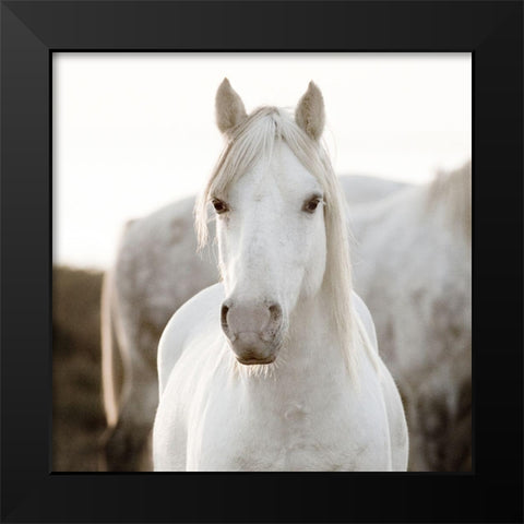 Horse Black Modern Wood Framed Art Print by Llovet, Jorge